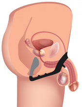Lade das Bild in den Galerie-Viewer, Excursion Analplug mit Penis- und Hodenring
