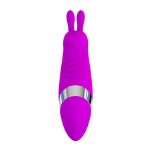 Lade das Bild in den Galerie-Viewer, Beck Mini-Vibrator