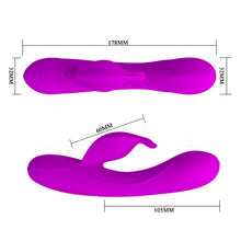 Lade das Bild in den Galerie-Viewer, Yves Delfinvibrator