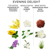 Lade das Bild in den Galerie-Viewer, NA EOL PHR Body Spray 10ml MALE - EVENING DELIGHT