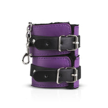 Lade das Bild in den Galerie-Viewer, Kiste für geheime Vergnügen - Lila Lehrling