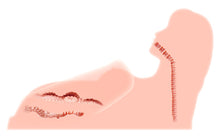 Lade das Bild in den Galerie-Viewer, Hera 3 Masturbator