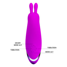 Lade das Bild in den Galerie-Viewer, Beck Mini-Vibrator
