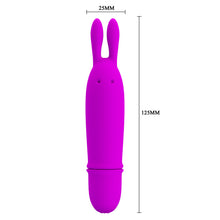 Lade das Bild in den Galerie-Viewer, Boyce Mini Rabbit Klitoris Stimulator
