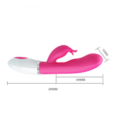 Lade das Bild in den Galerie-Viewer, Felix-Delfinvibrator
