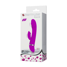Lade das Bild in den Galerie-Viewer, David - Rabbit Vibrator
