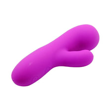 Lade das Bild in den Galerie-Viewer, Berger Vibrator

