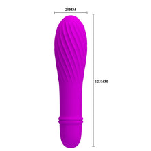 Lade das Bild in den Galerie-Viewer, Jonathan Mini-Vibrator

