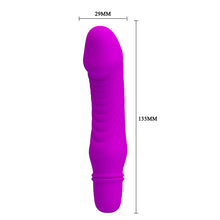 Lade das Bild in den Galerie-Viewer, Justin Mini-Vibrator
