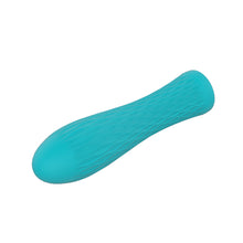 Lade das Bild in den Galerie-Viewer, Nalone Ian mini vibrator - türkis
